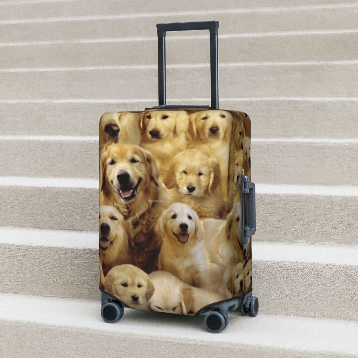 Travel Accessories To 3D Print - Housse de valise pour chien doré,